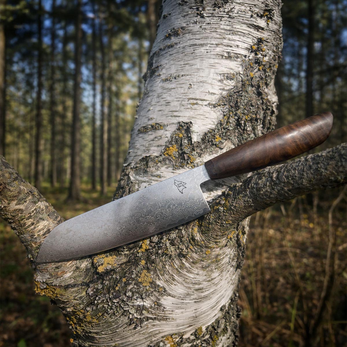 AAR Knive Santoku Knife